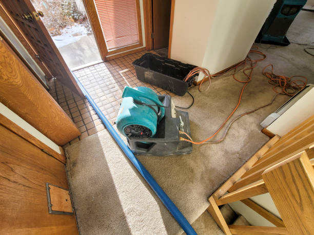 Best Carpet water damage restoration  in Boyceville, WI