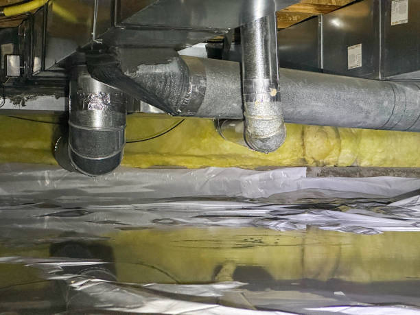 Trusted Boyceville, WI Water damage restoration Experts