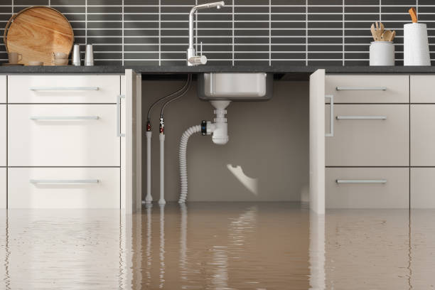 Best Fire Damage Restoration  in Boyceville, WI